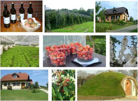 Kmetija Žižek – Fortner 9